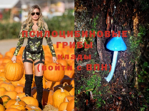 мяу мяу мука Волоколамск