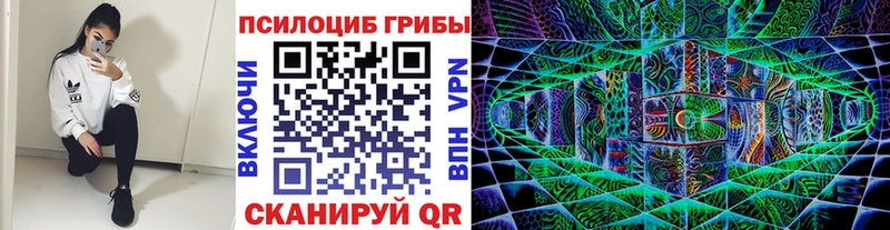 Галлюциногенные грибы ЛСД  закладки  Тула 